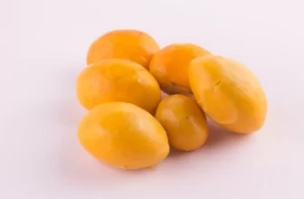 O que significa sonhar com pequi? Maduro, no pé, com arroz e mais!