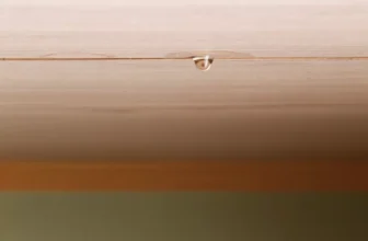 Sonhar com goteira: Dentro de casa, no teto, no quarto, na cama e mais!