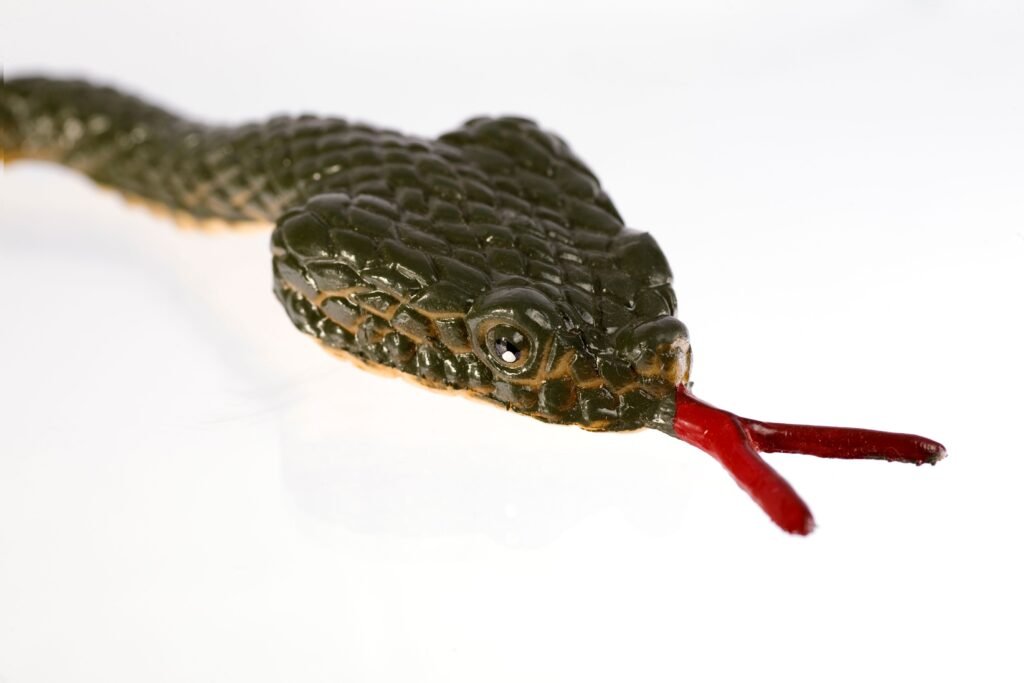 Cabeça de cobra em destaque.