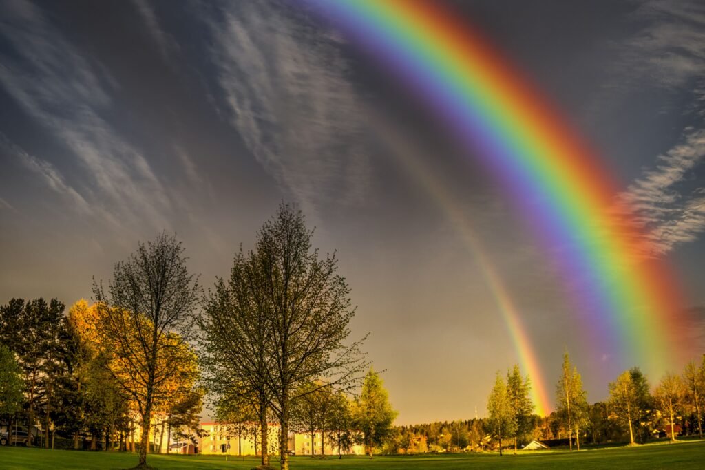 Campo com algumas árvores e um arco iris.