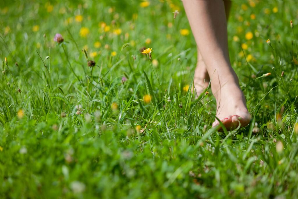 Pessoa andando em uma grama verde com flores amarelas ao lado. 
