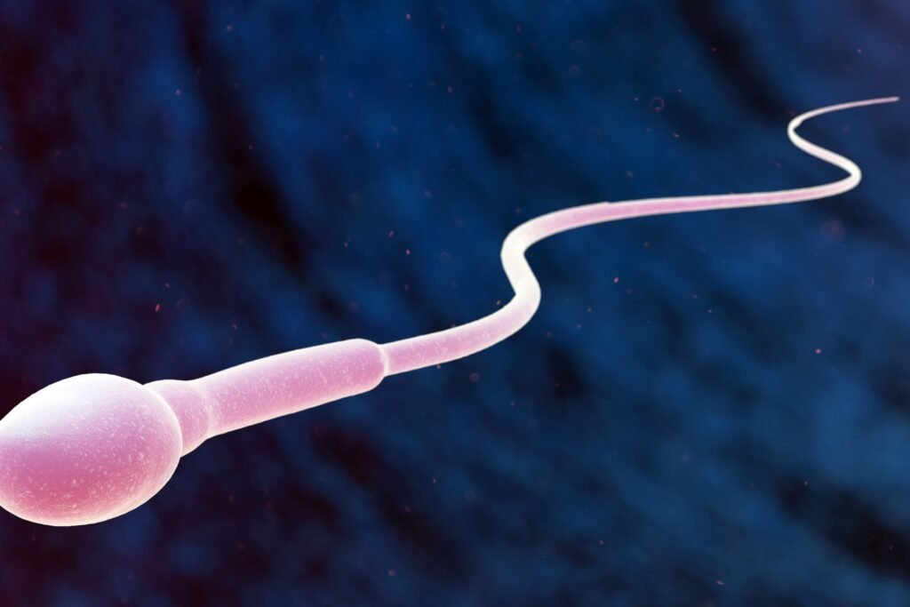 Zoom em um espermatozóide.