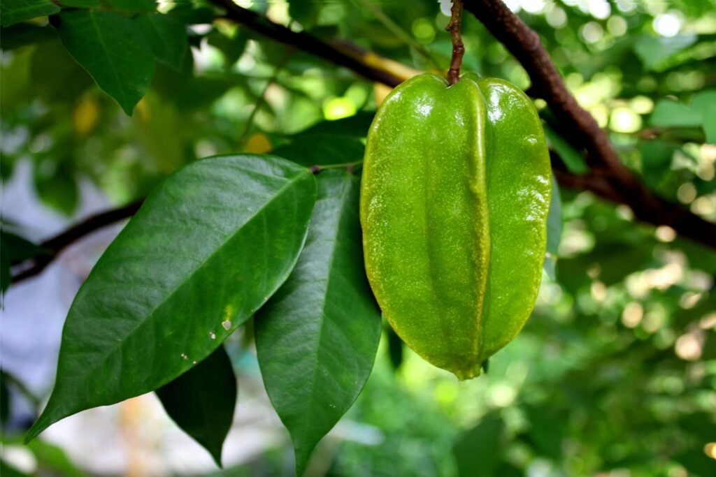 Carambola verde. 