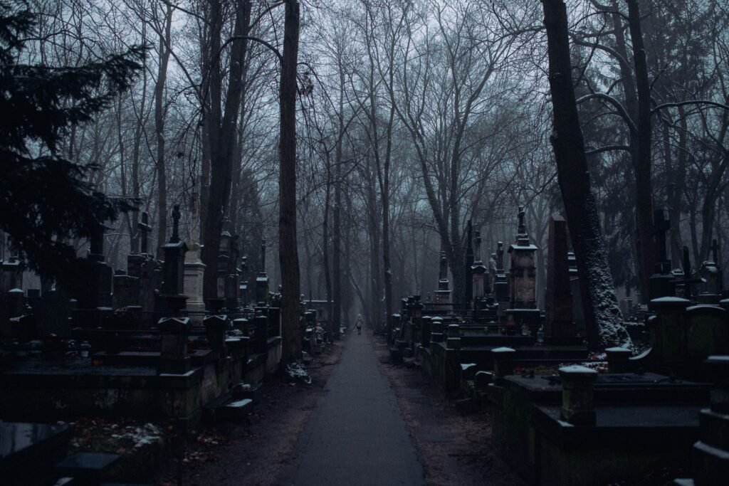 Cemitério em uma floresta. 