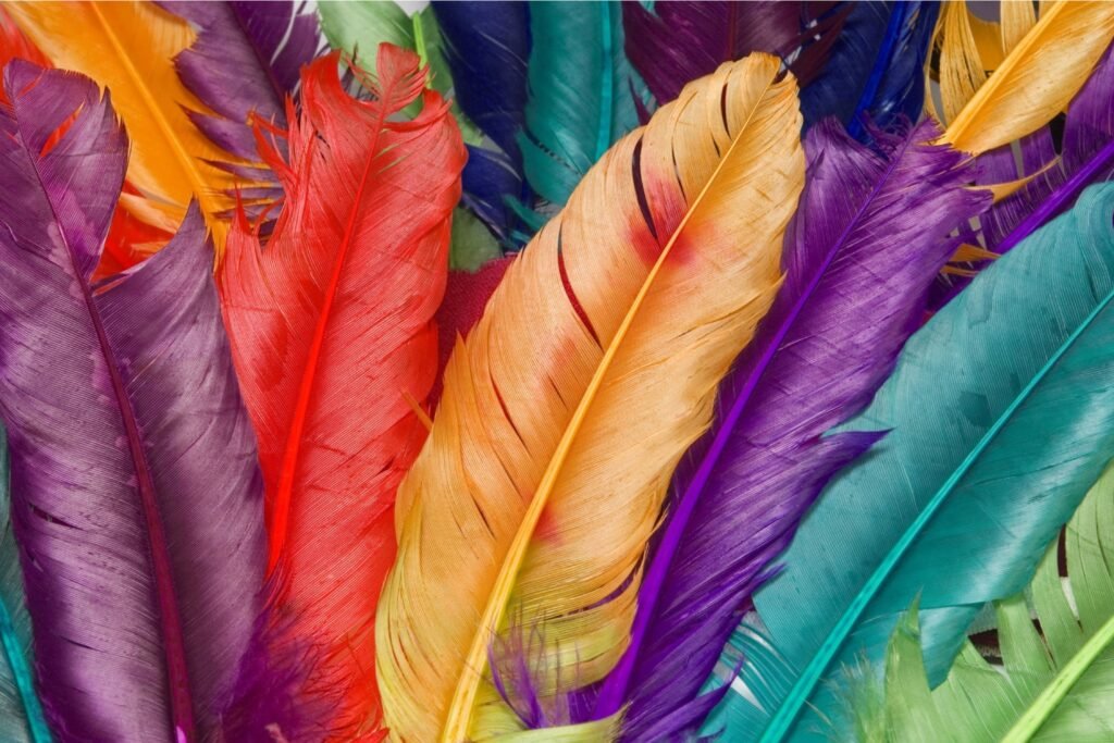 Diversas penas coloridas.