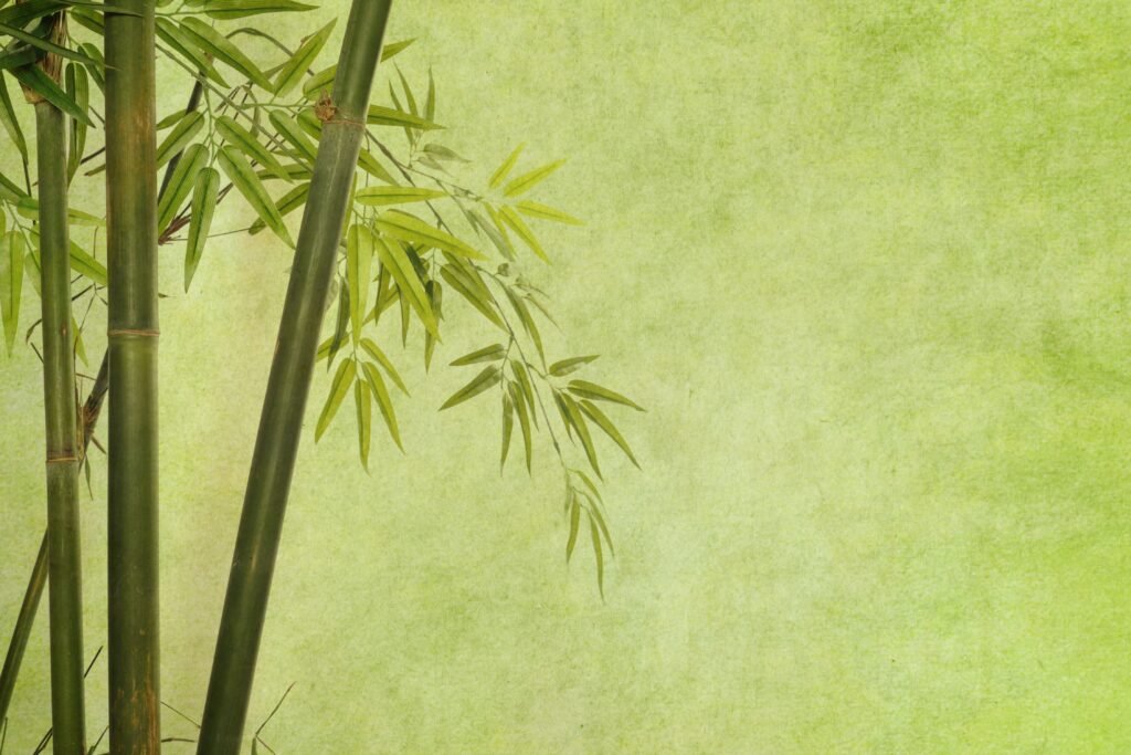 Bambus em um fundo verde.