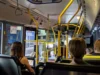 Sonhar com ônibus: lotado, vazio, parado, escolar, de viagem e mais!