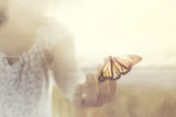 Significado do animal de poder no Xamanismo: beija-flor, águia e mais!