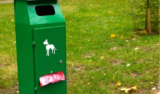 O que significa sonhar com fezes de cachorro? Pisar, limpar e mais!
