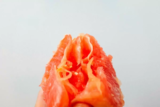 Sonhar com vagina: cabeluda, raspada, com sangue, larvas e mais!