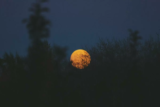 O que significa sonhar com a lua: cheia, vermelha, duas luas e mais!